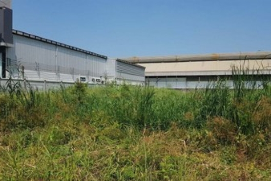 m800x1200 (3)
