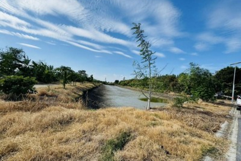 m800x1200 (8)