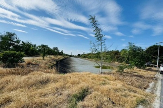 m800x1200 (8)