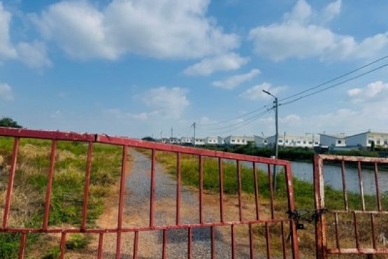66402 (5)