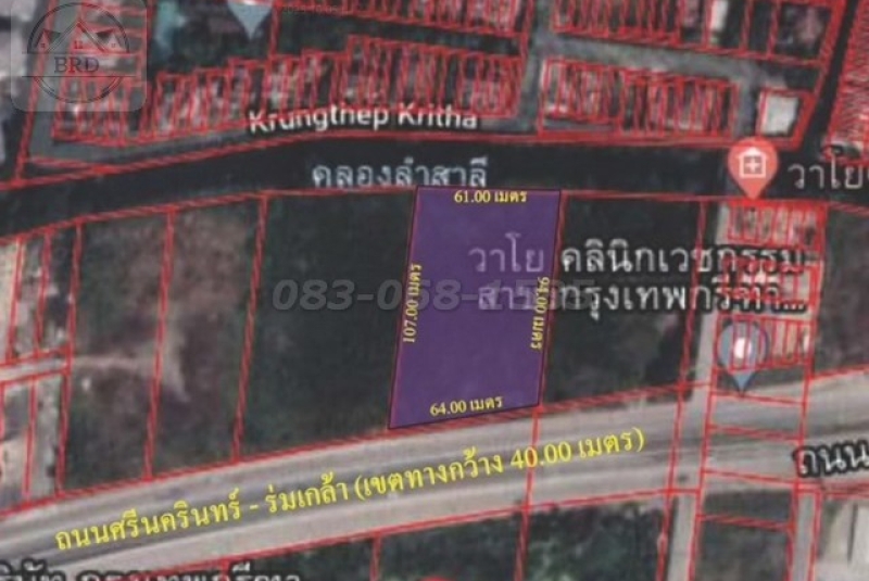 1738292871441_BRD