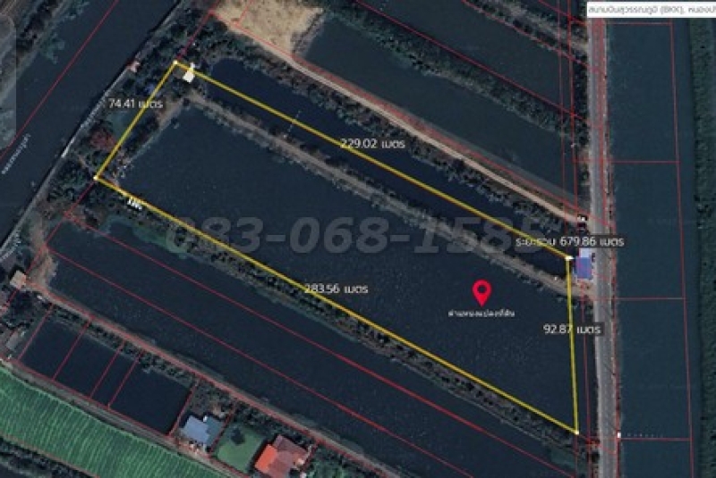 ขายถูกที่ดินสีเขียว หนองปรือ-ร่วมใจพัฒนา (เนื้อที่ 12-3-63 ไร่ ขายไร่ละ 7 ล้าน รวมเป็นเงิน 84 ล้าน)  อ.บางเสาธง จ.สมุทรปราการ