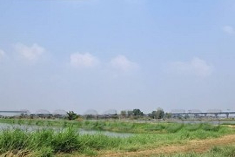267154_BRD