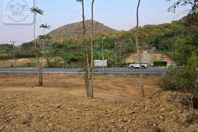 m800x1200 (1)_BRD m800x1200 (1)_BRD