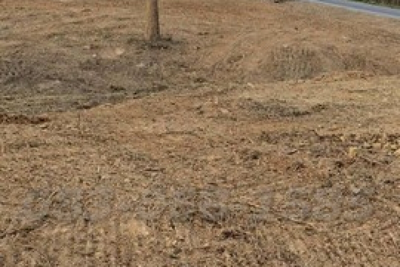 m800x1200 (5)_BRD m800x1200 (5)_BRD