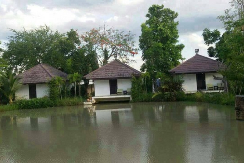 ขายถูกที่ดินทำเลทองพร้อมบ้าน 12 หลัง+เรือนไทย 1 หลัง รังสิตคลอง7 เนื้อที่ 3-0-85 ไร่ ขายยกแปลง 35 ล้าน ธัญบุรี ปทุมธานี