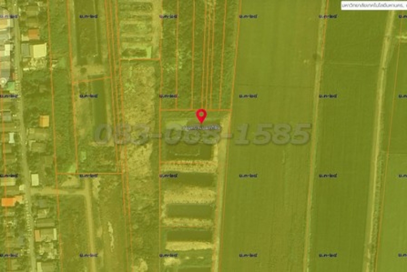 messageImage_1750038517210_BRD