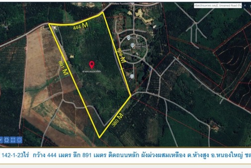 ราคาถูก ที่ดินผังสีเหลืองผสมม่วง เนื้อที่ 142-1-23 ไร่ ไร่ละ 1.8 ล้านบาท ต.ห้างสูง อ.หนองใหญ่ จ.ชลบุรี
