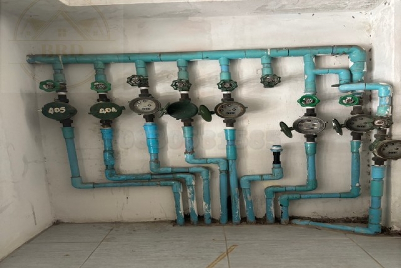 S__4841499_0 S__4841499_0