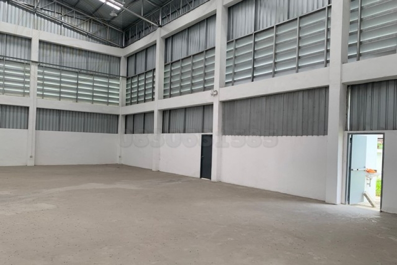 S__30326809_0 S__30326809_0