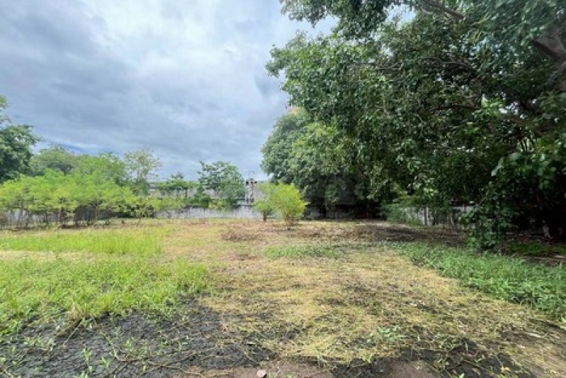 246272_0_BRD 246272_0_BRD