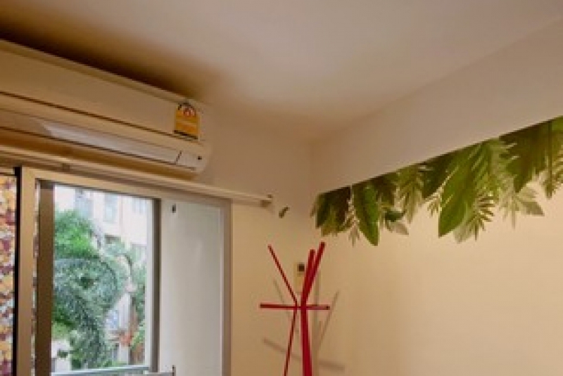 S__2433058 S__2433058