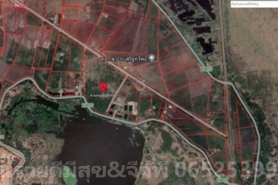 66091, ขายที่ดินพนัสนิคมลพบุรี เนื้อที่42ไร่3งาน9ตรว.ขายยกแปลง ราคาไร่ละ250,000บาท ที่ดินใกล้เขื่อนป่าสักชลสิทธิ์ พัฒนานิคม ลพบุรี
