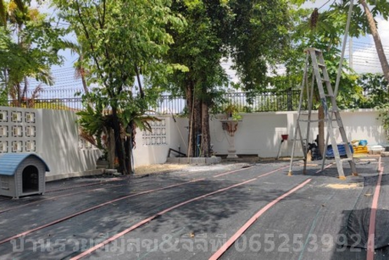LINE_ALBUM_มาสเตอร์พีช พี่กุ้ง   1976ซอย153_๒๔๐๕๑๙_34